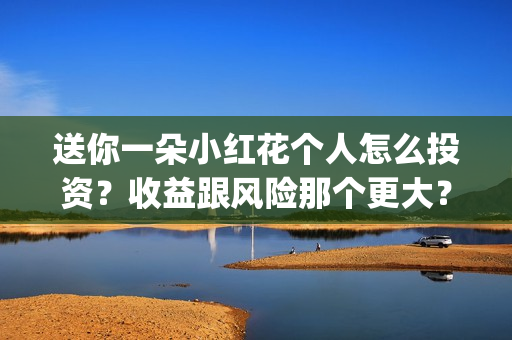 送你一朵小红花个人怎么投资？收益跟风险那个更大？靠谱吗？(送你一朵小红花歌词表达什么意思)