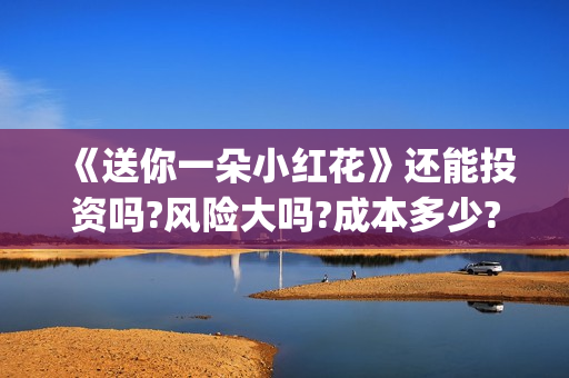 《送你一朵小红花》还能投资吗?风险大吗?成本多少?(送你一朵小红花)