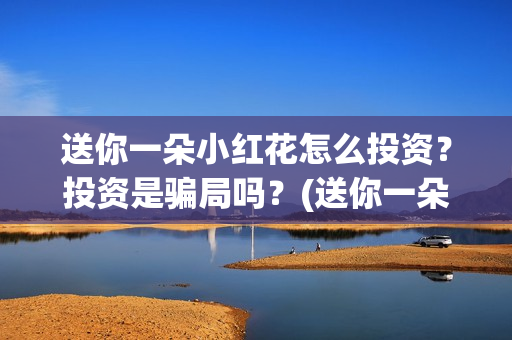 送你一朵小红花怎么投资？投资是骗局吗？(送你一朵小红花简谱)