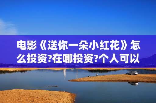 电影《送你一朵小红花》怎么投资?在哪投资?个人可以投资吗(电影《送你一朵小红花》的导演和主演)
