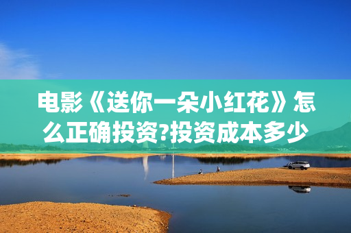 电影《送你一朵小红花》怎么正确投资?投资成本多少?(电影送你一朵小红花演员表)