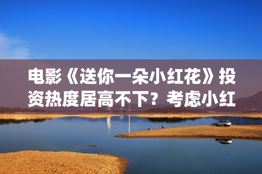电影《送你一朵小红花》投资热度居高不下？考虑小红花什么投资因素？投资份额真实吗？(电影送你一朵小红花剧情介绍)