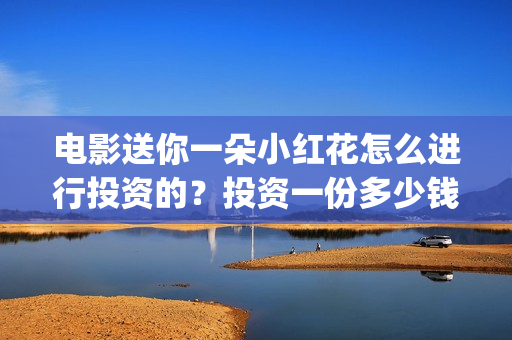 电影送你一朵小红花怎么进行投资的？投资一份多少钱(电影送你一朵小红花豆瓣评分)