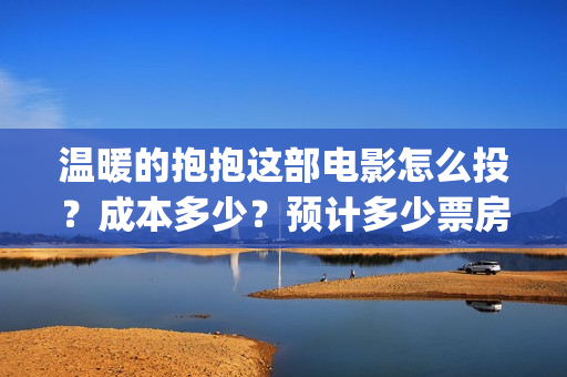 温暖的抱抱这部电影怎么投？成本多少？预计多少票房？(温暖的抱抱讲啥)