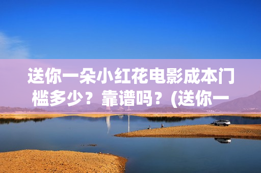 送你一朵小红花电影成本门槛多少？靠谱吗？(送你一朵小红花结局)