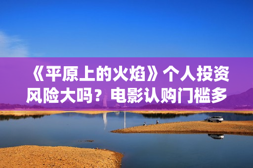 《平原上的火焰》个人投资风险大吗？电影认购门槛多少？(平原上的火焰豆瓣评分)