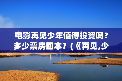 电影再见少年值得投资吗？多少票房回本？(《再见,少年》上映)