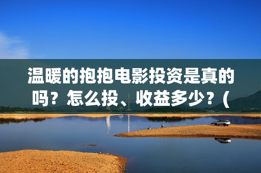 温暖的抱抱电影投资是真的吗？怎么投、收益多少？(温暖的抱抱这部电影)