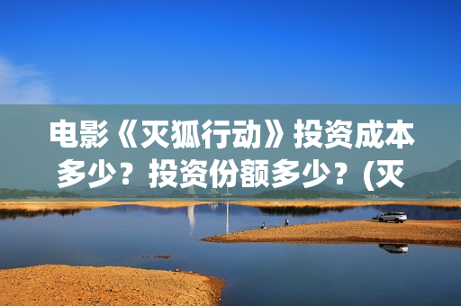 电影《灭狐行动》投资成本多少？投资份额多少？(灭狐行动最近消息)