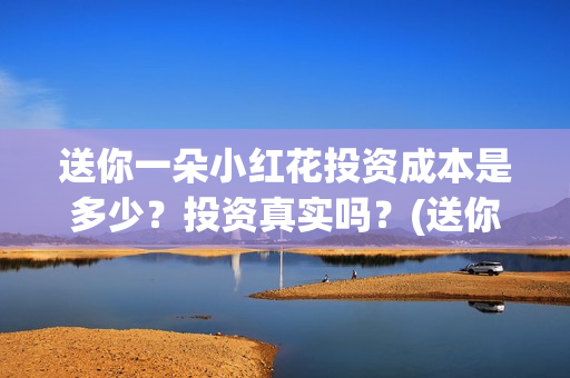 送你一朵小红花投资成本是多少？投资真实吗？(送你一朵小红花电影免费观看)