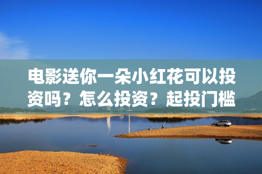 电影送你一朵小红花可以投资吗？怎么投资？起投门槛多少(电影送你一朵小红花完整版免费观看)