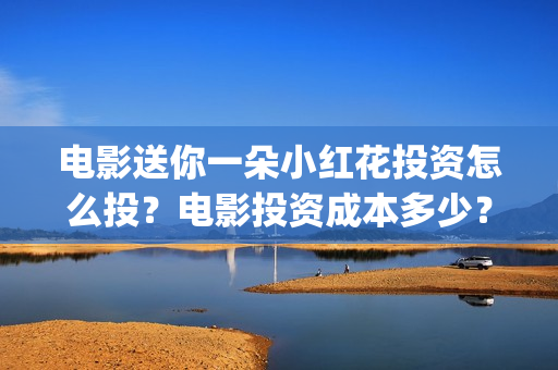 电影送你一朵小红花投资怎么投？电影投资成本多少？(电影送你一朵小红花豆瓣评分)
