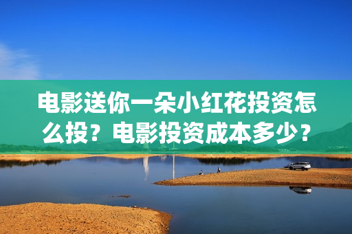 电影送你一朵小红花投资怎么投？电影投资成本多少？(电影送你一朵小红花演员表)