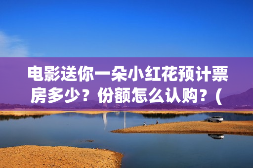 电影送你一朵小红花预计票房多少？份额怎么认购？(电影送你一朵小红花豆瓣评分)