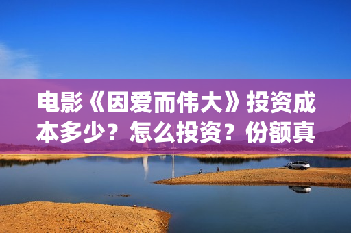 电影《因爱而伟大》投资成本多少？怎么投资？份额真实吗？(因爱而伟大票房预测)