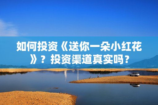 如何投资《送你一朵小红花》？投资渠道真实吗？