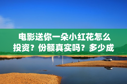 电影送你一朵小红花怎么投资？份额真实吗？多少成本？(电影送你一朵小花)