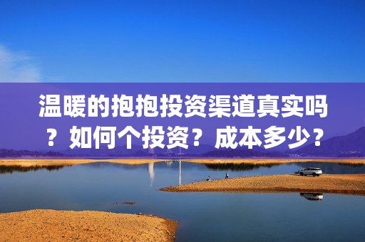 温暖的抱抱投资渠道真实吗？如何个投资？成本多少？(温暖的抱抱投资金额)