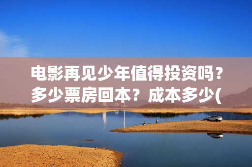 电影再见少年值得投资吗？多少票房回本？成本多少(再见少年演的啥)