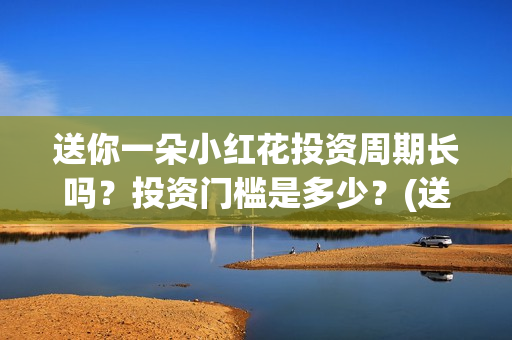 送你一朵小红花投资周期长吗？投资门槛是多少？(送你一朵小红花歌词)