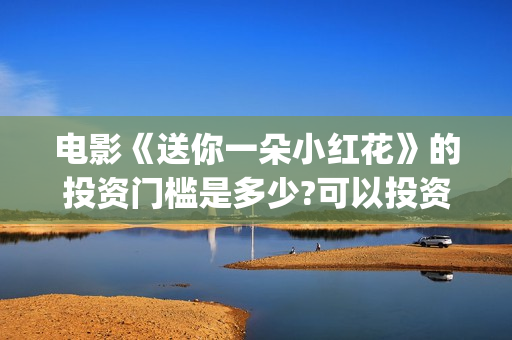 电影《送你一朵小红花》的投资门槛是多少?可以投资吗?(电影《送你一朵花》完整版)