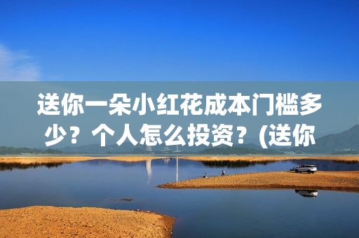 送你一朵小红花成本门槛多少？个人怎么投资？(送你一朵小红花结局)