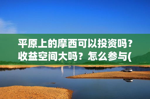 平原上的摩西可以投资吗？收益空间大吗？怎么参与(平原上的摩西摩西什么意思)