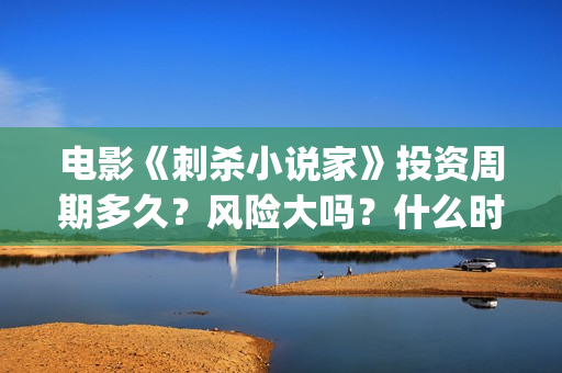 电影《刺杀小说家》投资周期多久？风险大吗？什么时候分红？ (电影《刺杀小说家》)