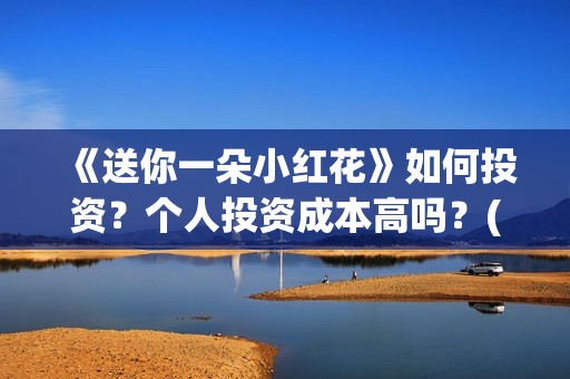 《送你一朵小红花》如何投资？个人投资成本高吗？(送你一朵小红花演员表)