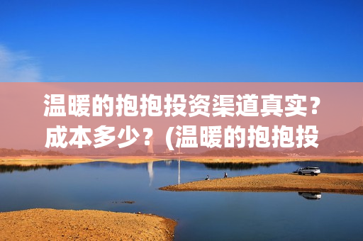 温暖的抱抱投资渠道真实？成本多少？(温暖的抱抱投资公司)