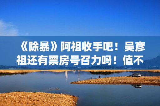 《除暴》阿祖收手吧！吴彦祖还有票房号召力吗！值不值得投资？(除暴原版)