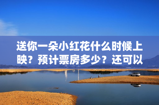送你一朵小红花什么时候上映？预计票房多少？还可以投资吗？(送你一朵小红花歌词)