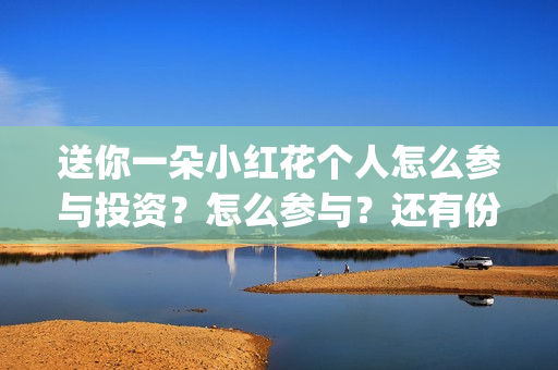 送你一朵小红花个人怎么参与投资？怎么参与？还有份额吗？(送你一朵小红花演员表)