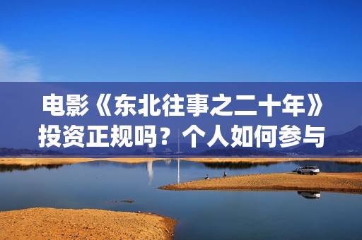 电影《东北往事之二十年》投资正规吗？个人如何参与？资金安全吗？(电影东北往事之大时代免费观看)
