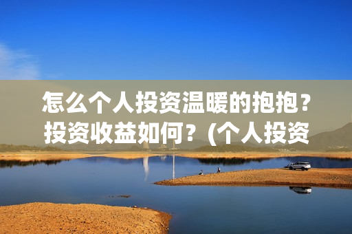 怎么个人投资温暖的抱抱？投资收益如何？(个人投资者怎么投资创业公司)