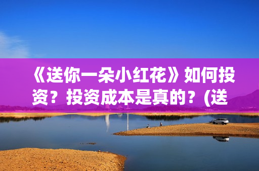 《送你一朵小红花》如何投资？投资成本是真的？(送你一朵小红花原唱)