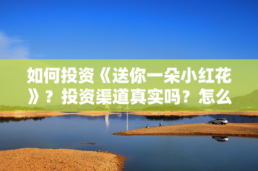 如何投资《送你一朵小红花》？投资渠道真实吗？怎么个人投资？