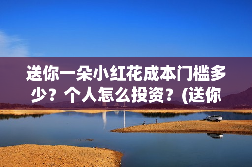 送你一朵小红花成本门槛多少？个人怎么投资？(送你一朵小红花简谱)