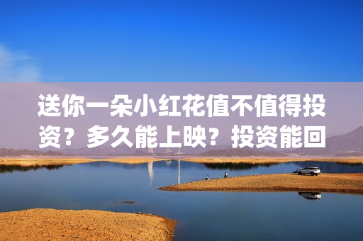 送你一朵小红花值不值得投资？多久能上映？投资能回本吗？(送你一朵小红花电影)