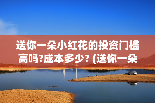 送你一朵小红花的投资门槛高吗?成本多少? (送你一朵小红花电影剧情介绍)