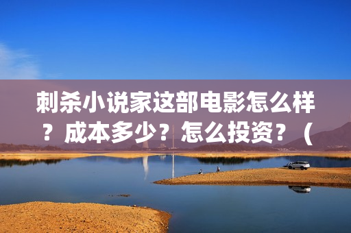 刺杀小说家这部电影怎么样？成本多少？怎么投资？ (刺杀小说家这部电影好看吗)