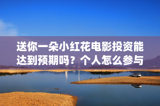送你一朵小红花电影投资能达到预期吗？个人怎么参与(送你一朵小红花电影)