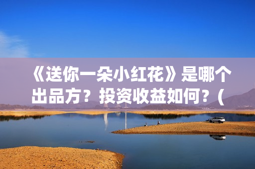 《送你一朵小红花》是哪个出品方？投资收益如何？(送你一朵小红花演员表)