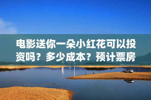 电影送你一朵小红花可以投资吗？多少成本？预计票房多少？(电影送你一朵小红花的英文)