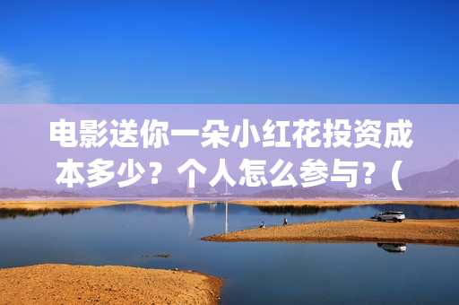 电影送你一朵小红花投资成本多少？个人怎么参与？(电影送你一朵小红花讲述的主题是抗癌吗)