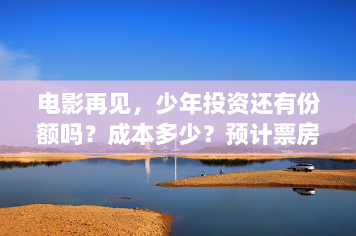 电影再见，少年投资还有份额吗？成本多少？预计票房？(电影再见少年剧情详细)