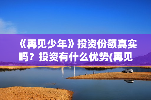 《再见少年》投资份额真实吗？投资有什么优势(再见少年全剧情)