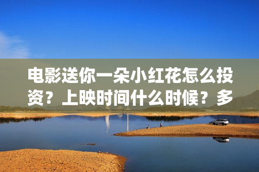 电影送你一朵小红花怎么投资？上映时间什么时候？多少起投？(电影送你一朵小红花豆瓣评分)