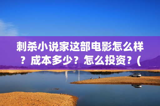 刺杀小说家这部电影怎么样？成本多少？怎么投资？(刺杀小说家说的是)