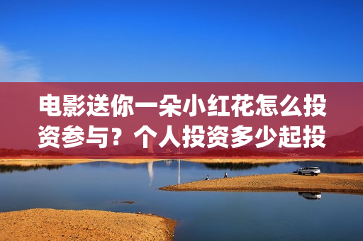 电影送你一朵小红花怎么投资参与？个人投资多少起投？(电影送你一朵小红花简介)